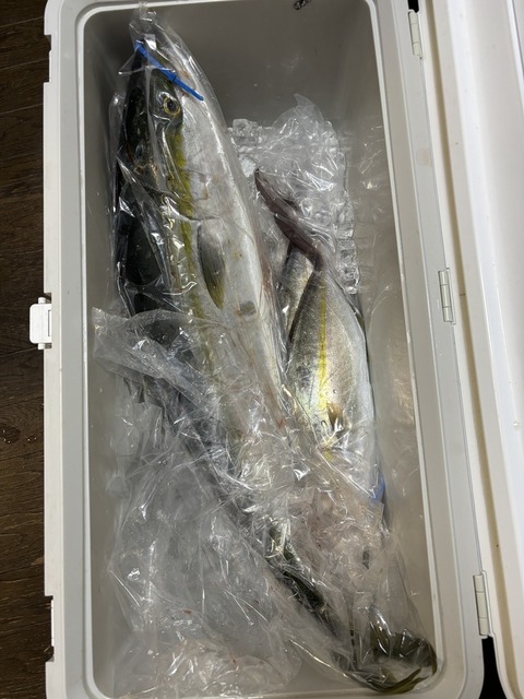 まとめ-ガジェ・趣味記事2026012611114838