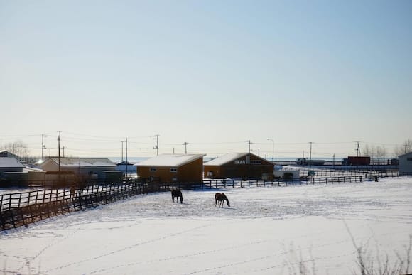 まとめ-ネタ記事2026021520202314